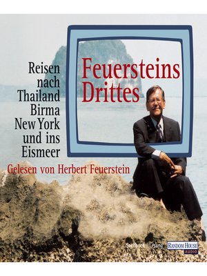 cover image of Feuersteins Drittes